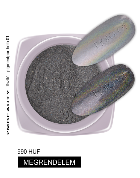 holo 01