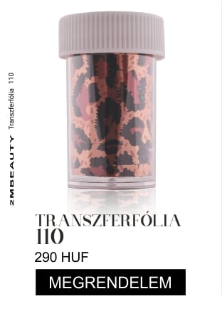 transzfr1