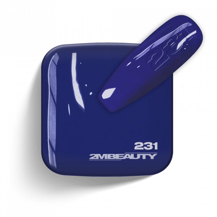 Gel Lack - Matt 231