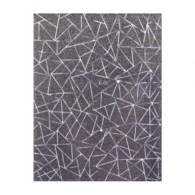 C06 Holo Silver