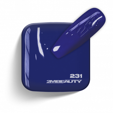 Gel Lack - Matt 231