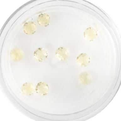 Plexi Glitter - 04