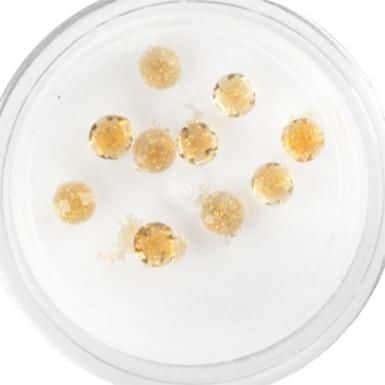 Plexi Glitter - 05