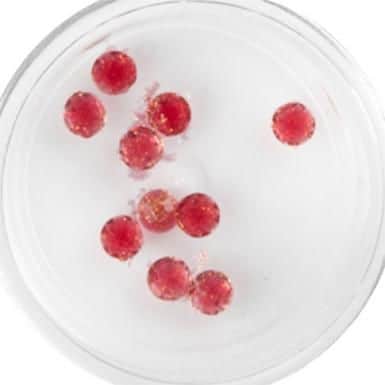 Plexi Glitter - 16