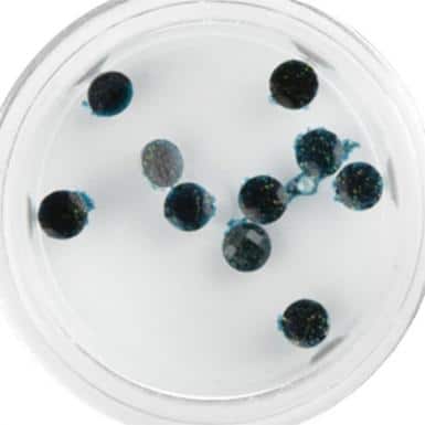 Plexi Glitter - 19