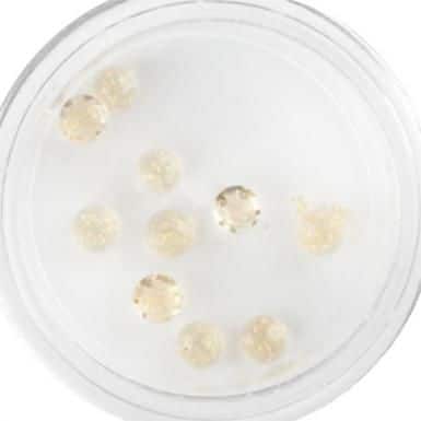 Plexi Glitter - 24
