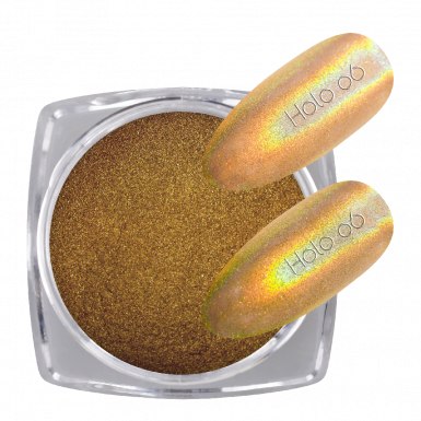 Pigmentpor Holo 06