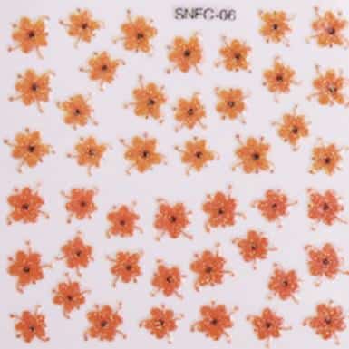 SNFC-06