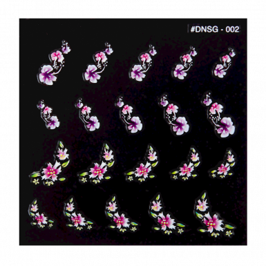 DNSG-002