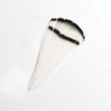 Toll 201 White