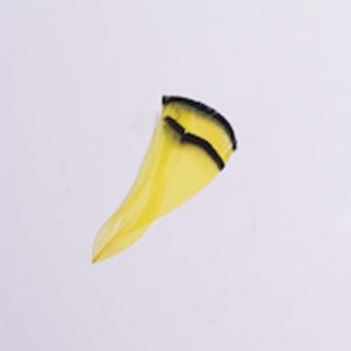 Toll 202 Yellow