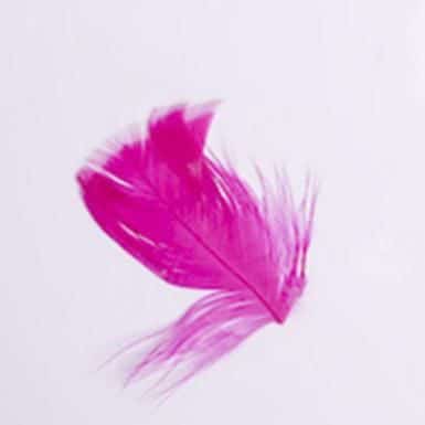 Toll 002 Pink