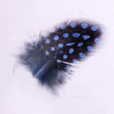 Toll 107 Blue