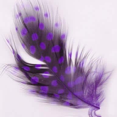 Toll 108 Purple