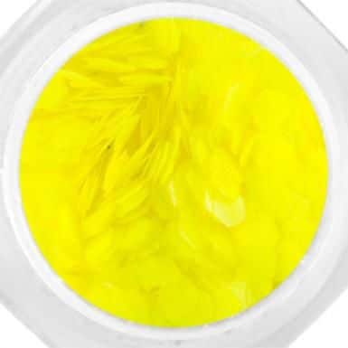Formalap Neon - L233