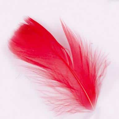 Toll 003 Red