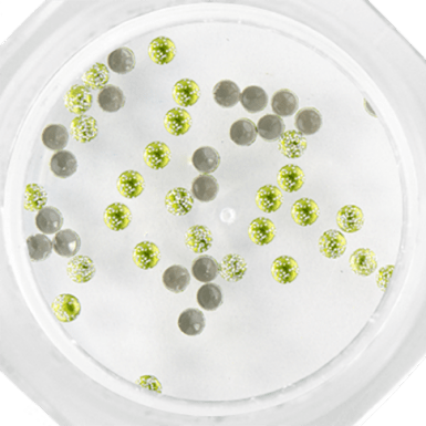 Stud Glitter 106 Light Green