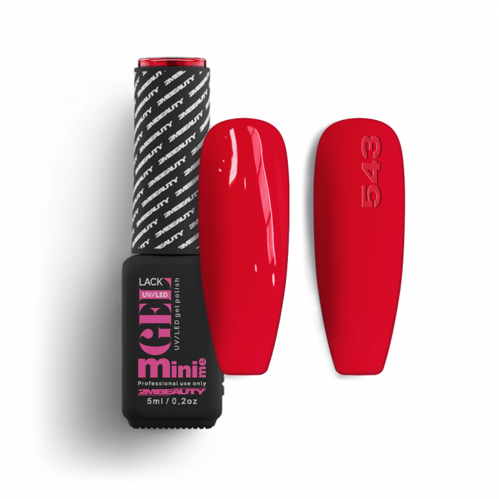 Gel Lack - HEMA Mentes 543 Gel Lack - HEMA Mentes 543
